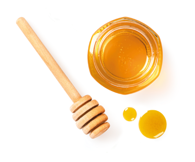 image?src=%7B%22file%22%3A%22wp content%2Fuploads%2F2024%2F08%2Fmiele